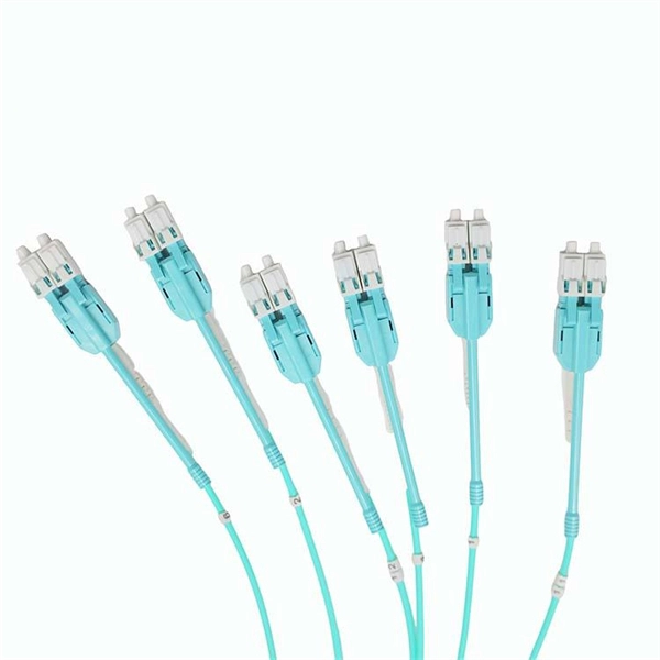 PoE switch network disconnected
